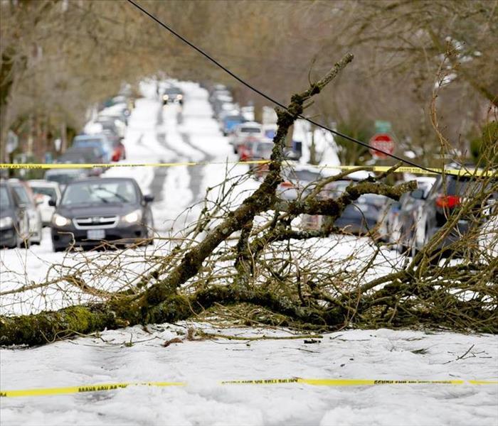 Tree Fallen on road with yellow tape 