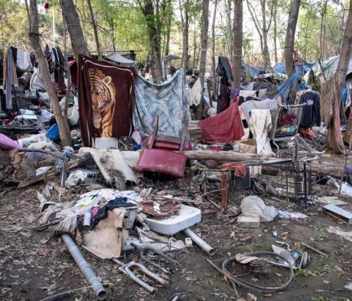 Clothes, Shopping Carts, Debris in a wooded area